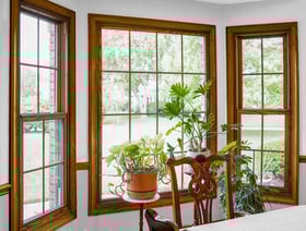 Three windows with wooden trim and grids surrounded by plants inside the home.