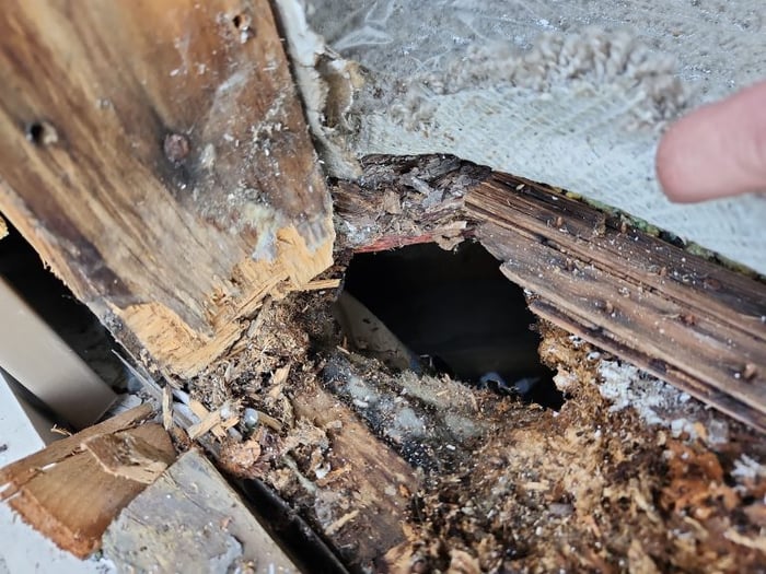 down-net_http20250602-80-tog1h0-768x576