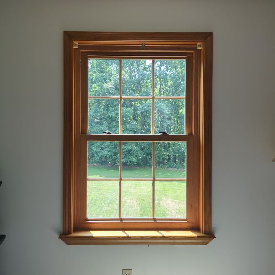 ProVia Window